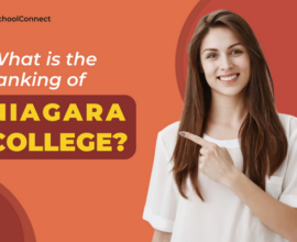 Top reasons why Niagara College Canada's rankings are high
