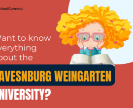 Ravensburg Weingarten University | A comprehensive guide to studying at this university!