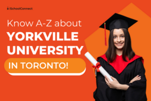 Yorkville University | Your handy guide to learning all about it!