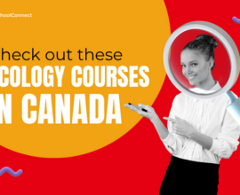 All you should know about the ecology courses in Canada!