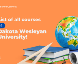 Check out Dakota Wesleyan University's top courses