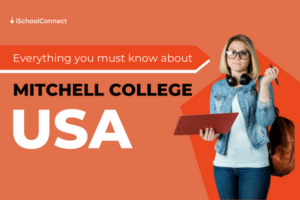 Mitchell College | Courses, requirements, campus life, and more!