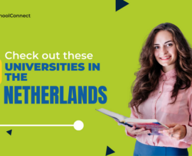 Why study at the top universities in the Netherlands?