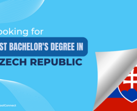 Best bachelor's degree programs in the Czech Republic | 3 top-ranked universities!
