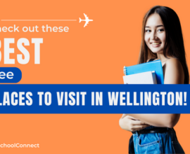 Best places to visit in Wellington for free | Your handy guide!