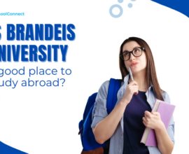 Why study at Brandeis University?