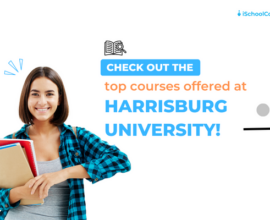 Your handy guide to Bachelor’s Degree courses at Harrisburg University