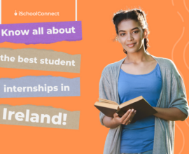 About student internships in Ireland