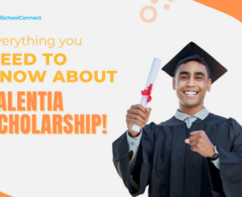 Your handy guide to Talentia Scholarship