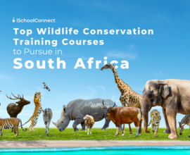 Your handy guide to Wildlife Conservation Training Courses in South Africa