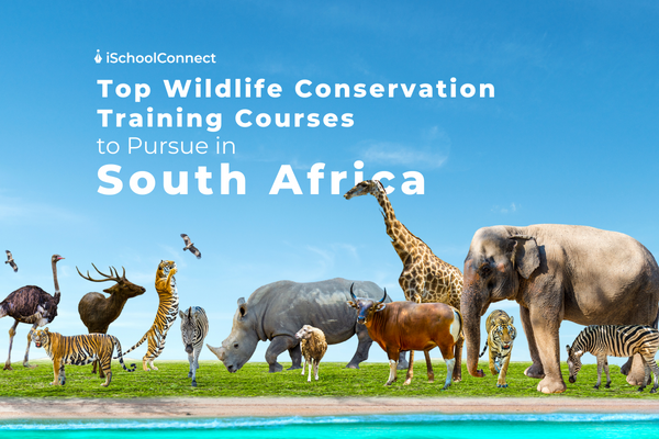 Your handy guide to Wildlife Conservation Training Courses in South Africa