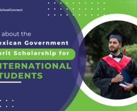 All about Mexican Government Merit Scholarship for International Students