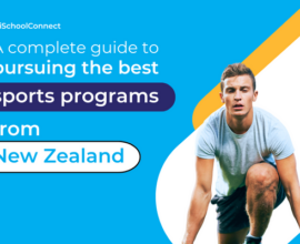 Best sports programs in New Zealand that you need to know