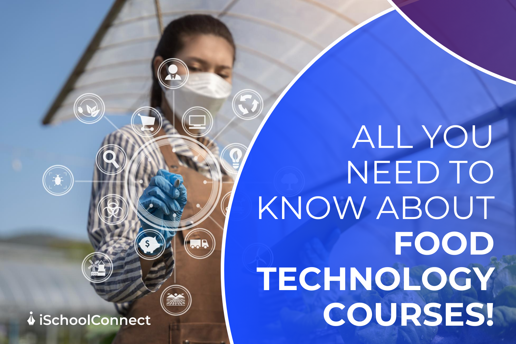 Top 8 food technology courses worldwide