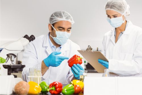 food technology course