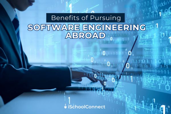 Software Engineering course abroad | Benefits